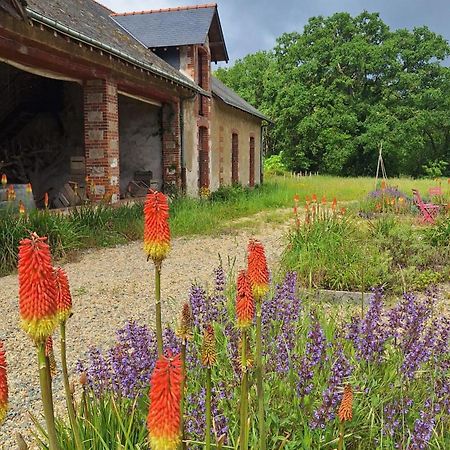Ecolodges de Loire&Spa Gennes-Val-de-Loire Extérieur photo