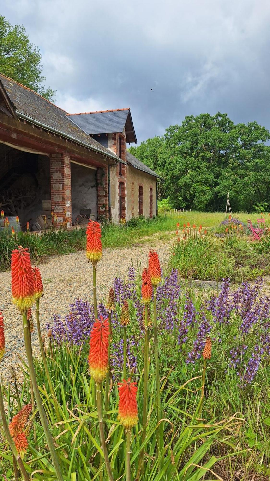 Ecolodges de Loire&Spa Gennes-Val-de-Loire Extérieur photo