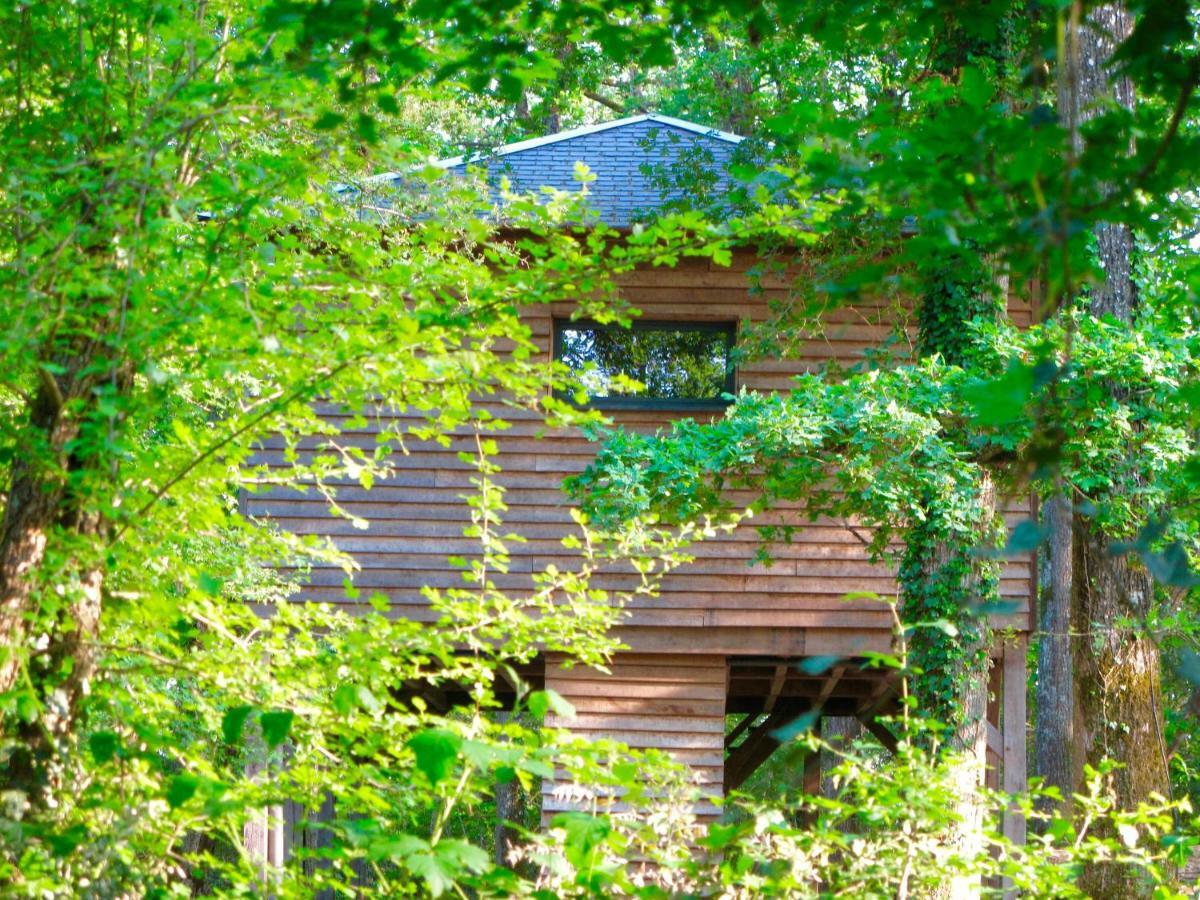 Ecolodges de Loire&Spa Gennes-Val-de-Loire Extérieur photo